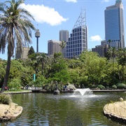 Royal Botanic Garden, Sydney