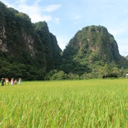 Bantimurung Karst Mountains, South Sulawesi