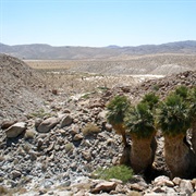 Anza-Borrego Desert State Park