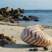 Wuthara Island National Park (QLD)