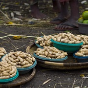 Ground Bean (MacRotyloma Geocarpum)
