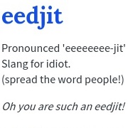 Eedjit = Idiot