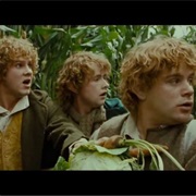 Samwise, Pippin and Merry