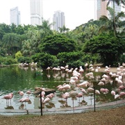 Kowloon Park