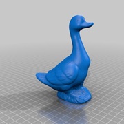 Blue Duck