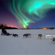 Aurora Borealis by Dogsled in Canada's Territories