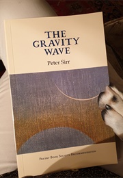 The Gravity Wave (Peter Sirr)