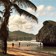 Bathsheba, Barbados