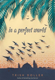 In a Perfect World (Trish Doller)