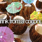 Drink From a Coconut