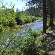 Sula State Forest, Montana