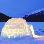 Igloo