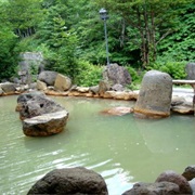 Green Leaf Onsen, Japan