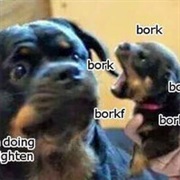 Stop It Son, You Are Doing Me a Frighten