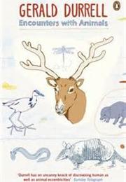 Encounters With Animals