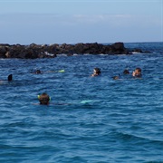 Snorkel in North Seymour, Galapagos