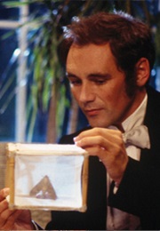 Mark Rylance - Angels and Insects (1995)