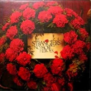 I Feel Like a Wog by the Strangers