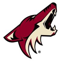 The Phoenix Coyotes