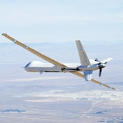 Searching for Flights Because They're Cheap