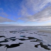 The Arctic Ocean Is the Smallest Ocean