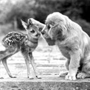 Perform a Random Act of Kindness