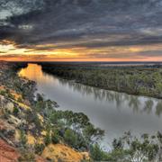 Murray River National Park (SA)
