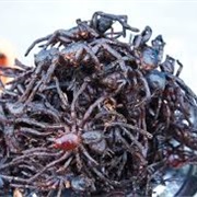 Eaten Fried Tarantulas