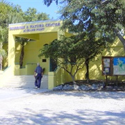 Museums and Nature Center of Crane Point