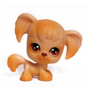 Littlest Pet Shop #26