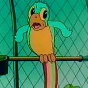 South African-Talking Parrot