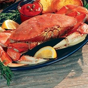 Dungeness Crab