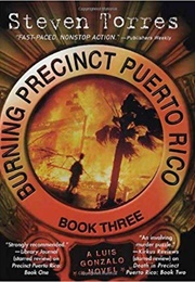 Burning Precinct Puerto Rico (Steve Torres)