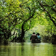 Ratargul Swamp Forest