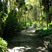 Foster Botanical Garden