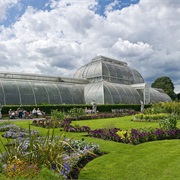 Royal Botanic Gardens (Kew, England)