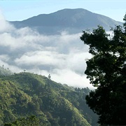Blue Mountain Peak, Jamaica
