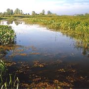 Selkirk Provincial Park