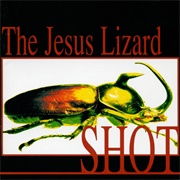 The Jesus Lizard, Shot
