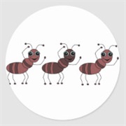 Ants (Sometimes)