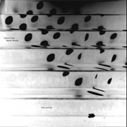 Voice of the Seven Woods - The Journey