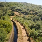 Levada Walk in Madeira