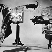 Salvador Dali's Cats