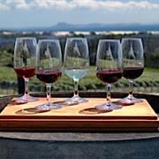 One of the 300 Wineries in Israel