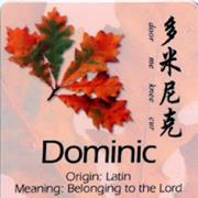 Dominic
