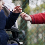 Perform a Kind Deed Without Expecting Anything in Return