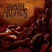 Human Artifacts - The Principles of Sickness