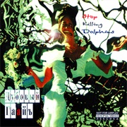 Dubovy Gaay - Stop Killing Dolphins