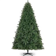 Get a Christmas Tree