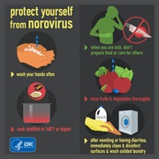 Norovirus
